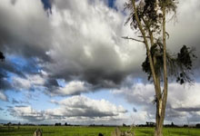 即将开售！哈尔滨亚冬会观赛日历来啦央广网.