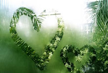 即将开售！哈尔滨亚冬会观赛日历来啦央广网.