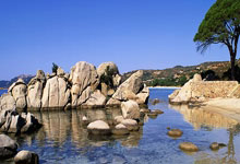 吴艳妮：我不是靠流量吃饭的，是靠硬实力吃饭的 终极目标奥运前8.：问鼎app